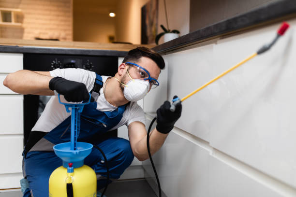 Best Best Pest Control Companies  in Ntgomery City, MO