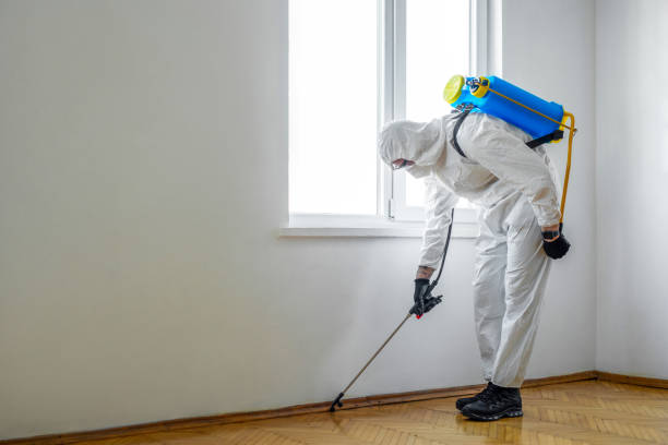 Best Best Pest Control Near Me  in Ntgomery City, MO