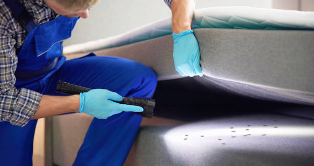 Best Exterminator Services  in Ntgomery City, MO